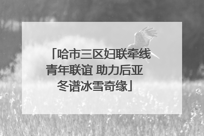 哈市三区妇联牵线青年联谊 助力后亚冬谱冰雪奇缘