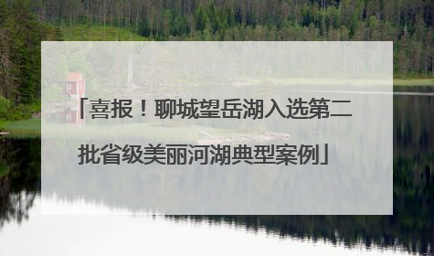 喜报！聊城望岳湖入选第二批省级美丽河湖典型案例