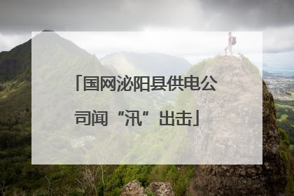 国网泌阳县供电公司闻“汛”出击