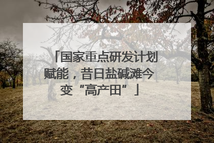 国家重点研发计划赋能，昔日盐碱滩今变“高产田”