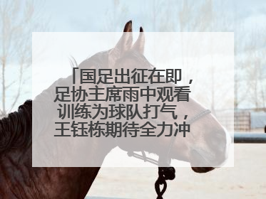 国足出征在即，足协主席雨中观看训练为球队打气，王钰栋期待全力冲击印尼队