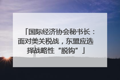 国际经济协会秘书长：面对美关税战，东盟应选择战略性“脱钩”