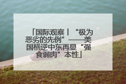 国际观察丨“极为恶劣的先例”——美国横逆中东再显“强食弱肉”本性