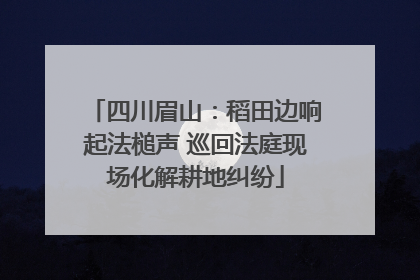 四川眉山：稻田边响起法槌声 巡回法庭现场化解耕地纠纷