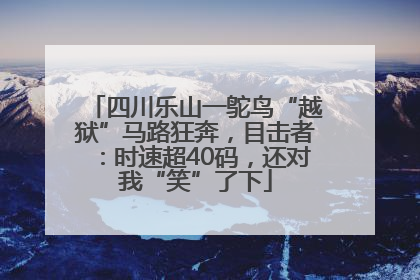 四川乐山一鸵鸟“越狱”马路狂奔，目击者：时速超40码，还对我“笑”了下