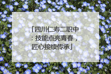 四川仁寿二职中：技能点亮青春，匠心接续传承