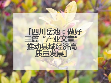 四川岳池：做好三篇“产业文章” 推动县域经济高质量发展