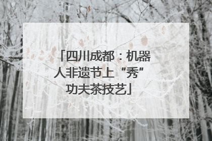四川成都：机器人非遗节上“秀”功夫茶技艺