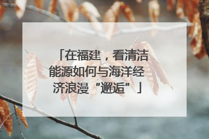 在福建，看清洁能源如何与海洋经济浪漫“邂逅”