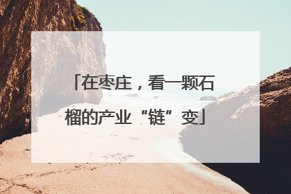 在枣庄，看一颗石榴的产业“链”变