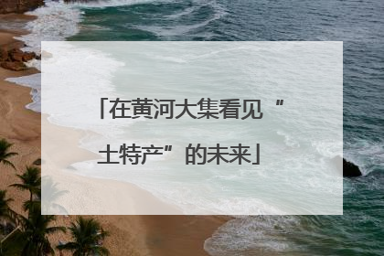 在黄河大集看见“土特产”的未来