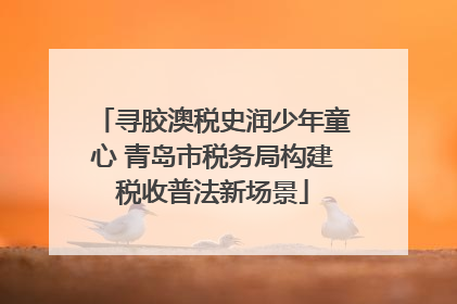 寻胶澳税史润少年童心 青岛市税务局构建税收普法新场景