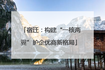 宿迁：构建“一核两翼”护企优商新格局