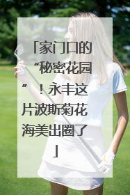 家门口的“秘密花园”！永丰这片波斯菊花海美出圈了