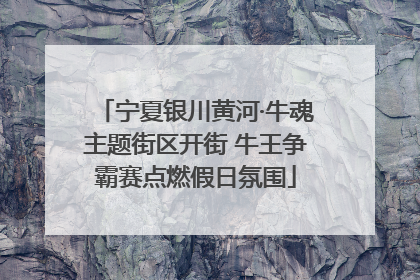 宁夏银川黄河·牛魂主题街区开街 牛王争霸赛点燃假日氛围
