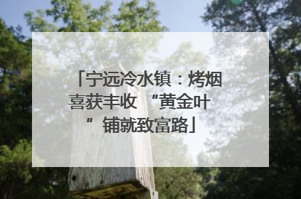 宁远冷水镇：烤烟喜获丰收 “黄金叶”铺就致富路