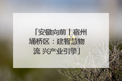 安徽向前丨宿州埇桥区：建智慧物流 兴产业引擎