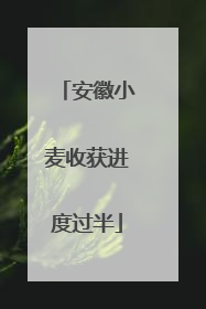 安徽小麦收获进度过半
