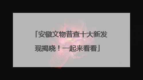 安徽文物普查十大新发现揭晓！一起来看看