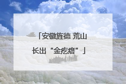 安徽旌德 荒山长出“金疙瘩”