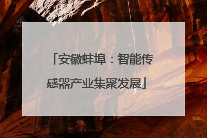 安徽蚌埠：智能传感器产业集聚发展