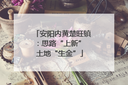 安阳内黄楚旺镇：思路“上新” 土地“生金”
