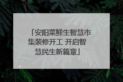 安阳菜鲜生智慧市集装修开工 开启智慧民生新篇章