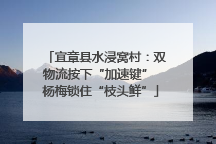 宜章县水浸窝村：双物流按下“加速键” 杨梅锁住“枝头鲜”