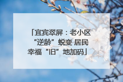 宜宾翠屏：老小区“逆龄”蜕变 居民幸福“旧”地加码