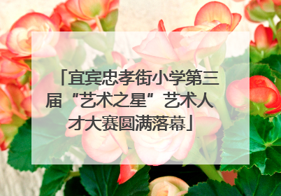 宜宾忠孝街小学第三届“艺术之星”艺术人才大赛圆满落幕