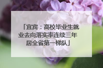 宜宾：高校毕业生就业去向落实率连续三年居全省第一梯队