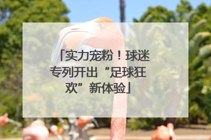 实力宠粉！球迷专列开出“足球狂欢”新体验