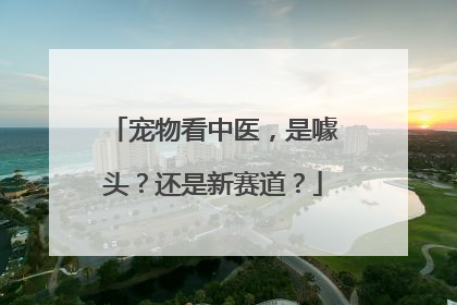 宠物看中医，是噱头？还是新赛道？