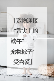宠物迎接“舌尖上的端午” “宠物粽子”受喜爱