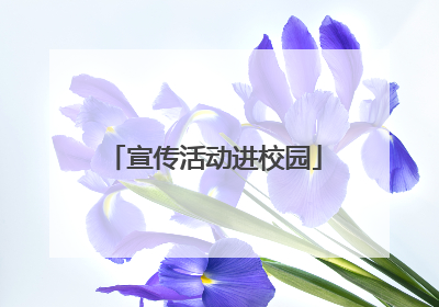 宣传活动进校园