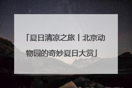 夏日清凉之旅丨北京动物园的奇妙夏日大赏