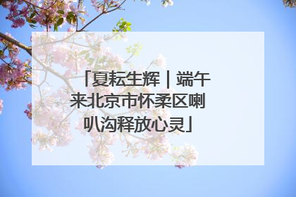 夏耘生辉｜端午来北京市怀柔区喇叭沟释放心灵