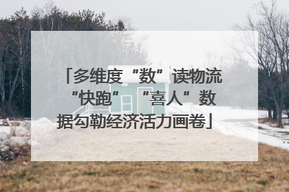 多维度“数”读物流“快跑” “喜人”数据勾勒经济活力画卷