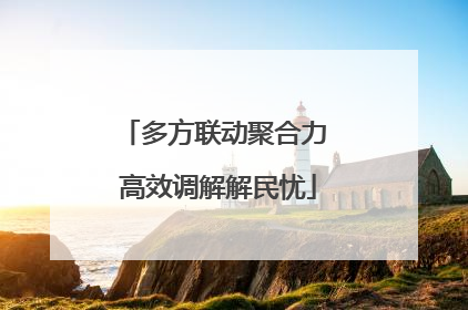 多方联动聚合力 高效调解解民忧