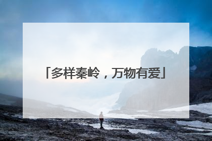 多样秦岭，万物有爱
