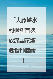 大藤峡水利枢纽首次放流国家濒危物种唇鲮