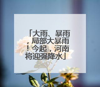 大雨、暴雨，局部大暴雨！今起，河南将迎强降水