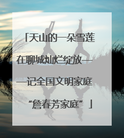 天山的一朵雪莲在聊城灿烂绽放——记全国文明家庭“詹春芳家庭”