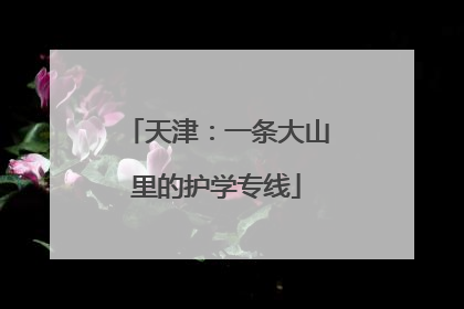 天津：一条大山里的护学专线