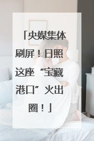 央媒集体刷屏！日照这座“宝藏港口”火出圈！