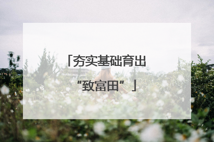 夯实基础育出“致富田”