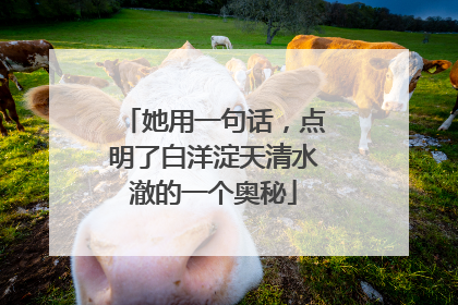 她用一句话，点明了白洋淀天清水澈的一个奥秘