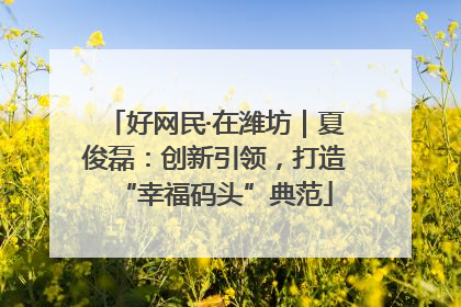 好网民·在潍坊｜夏俊磊：创新引领，打造“幸福码头”典范
