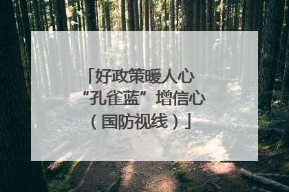 好政策暖人心 “孔雀蓝”增信心（国防视线）