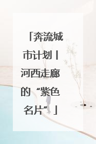 奔流城市计划丨河西走廊的“紫色名片”